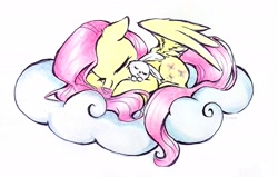 Size: 2707x1722 | Tagged: safe, artist:liaaqila, angel bunny, fluttershy, pegasus, pony, rabbit, g4, animal, cloud, commission, cute, duo, duo male and female, eyes closed, female, high res, lying down, male, mare, on a cloud, shyabetes, signature, simple background, sleeping, traditional art, white background, wings
