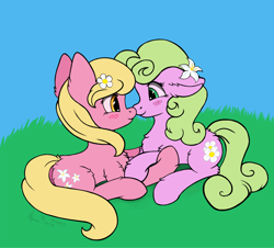 Size: 2106x1905 | Tagged: safe, artist:aquamuro, daisy, flower wishes, lily, lily valley, earth pony, pony, g4, art trade, background pony, blushing, chest fluff, cute, duo, ear fluff, female, floppy ears, flower, flower in hair, fluffy, holding hooves, looking at each other, looking at someone, mare, shipping, signature, simple background