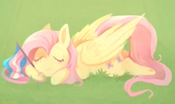 Size: 1829x1087 | Tagged: safe, artist:urbanqhoul, fluttershy, pegasus, pony, g4, pride flag, solo, trans fluttershy, transgender