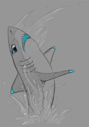 Size: 904x1280 | Tagged: safe, artist:stray prey, oc, oc only, oc:lacera viscera, shark, sharkified, solo, species swap