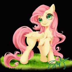 Size: 4093x4093 | Tagged: safe, artist:co306012, fluttershy, pegasus, pony, g4, black background, chest fluff, cute, ear fluff, folded wings, hoof fluff, leg fluff, looking at you, shyabetes, simple background, smiling, smiling at you, solo, wings
