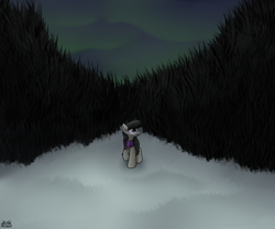 Size: 3600x3000 | Tagged: safe, artist:the-furry-railfan, octavia melody, earth pony, pony, g4, aurora borealis, clothes, cloud, cloudy, forest, high res, night, scarf, snow, solo, uneasy, winter