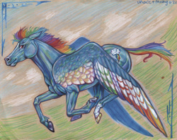 Size: 2000x1582 | Tagged: safe, artist:unacctmango, part of a set, rainbow dash, horse, pegasus, pony, g4, colored pencil drawing, female, flying, galloping, hoers, mare, signature, solo, traditional art, unshorn fetlocks