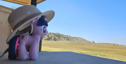 Size: 1200x609 | Tagged: safe, artist:sepiakeys, twilight sparkle, pony, g4, hat, irl, photo, plushie, solo