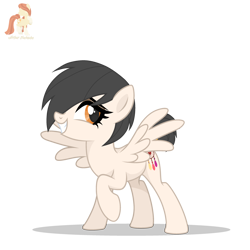 Size: 3000x3000 | Tagged: safe, artist:r4hucksake, oc, oc only, oc:dreamcatcher, pegasus, pony, female, high res, mare, simple background, solo, transparent background