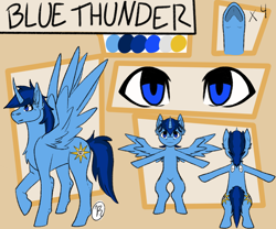 Size: 2400x2000 | Tagged: artist needed, safe, oc, oc:blue thunder, alicorn, pony, alicorn oc, high res, horn, male, reference sheet, solo, stallion, wings