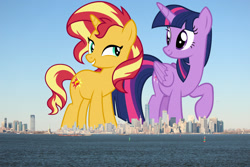Size: 1600x1066 | Tagged: safe, anonymous editor, artist:andoanimalia, artist:famousmari5, edit, sunset shimmer, twilight sparkle, alicorn, pony, unicorn, g4, city, duo, duo female, female, folded wings, giant pony, giantess, highrise ponies, irl, macro, manhattan, mare, new york, new york city, photo, ponies in real life, smiling, story included, twilight sparkle (alicorn), vector, wings