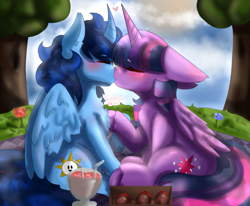 Size: 1035x851 | Tagged: artist needed, source needed, safe, twilight sparkle, oc, oc:blue thunder, alicorn, pony, g4, alicorn oc, canon x oc, duo, eyes closed, female, horn, kiss on the lips, kissing, male, picnic, shipping, straight, thundersparkle, twilight sparkle (alicorn), wings