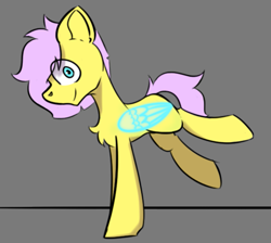 Size: 965x864 | Tagged: safe, artist:cotarsis, fluttershy, pegasus, pony, g4, chest fluff, gray background, looking at you, simple background, sketch, solo