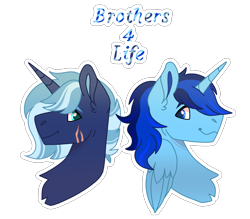 Size: 2918x2553 | Tagged: oc name needed, source needed, safe, artist:faetria, oc, oc:blue thunder, alicorn, pony, unicorn, alicorn oc, brothers, bust, duo, ear fluff, facial scar, folded wings, high res, horn, looking at each other, looking at someone, male, male alicorn, male alicorn oc, scar, siblings, simple background, smiling, stallion, transparent background, unicorn oc, wings