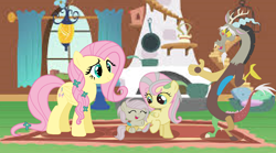 Size: 1532x852 | Tagged: safe, artist:princessfloriana, discord, fluttershy, oc, draconequus, hybrid, pegasus, pony, g4, baby, baby pony, father and child, father and daughter, female, filly, fluttershy's cottage, foal, husband and wife, interspecies offspring, male, mare, mother and child, mother and daughter, offspring, parent:discord, parent:fluttershy, parents:discoshy, ship:discoshy, shipping, straight