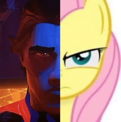 Size: 456x462 | Tagged: safe, edit, fluttershy, g4, barely pony related, face to face, female, fluttershy is not amused, male, marvel, meme, miguel o'hara, photo, pinterest, side by side, spider-man, spider-man 2099, spider-man: across the spider-verse, unamused