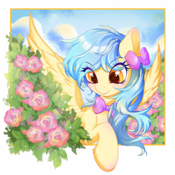 Size: 4093x4093 | Tagged: artist needed, source needed, safe, oc, oc only, oc:zoran, oc:左岸, pegasus, pony, flower, solo