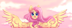 Size: 2497x992 | Tagged: safe, artist:venik, fluttershy, pegasus, pony, g4, cloud, eyebrows, female, full body, looking at you, mare, pink sky, solo, spread wings, teary eyes, wings