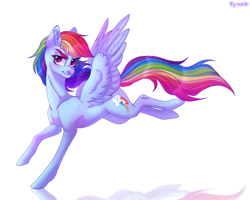 Size: 1517x1212 | Tagged: safe, artist:venik, rainbow dash, pegasus, pony, g4, backwards cutie mark, ear fluff, female, full body, mare, raised hoof, reflection, simple background, solo, spread wings, standing, white background, wings