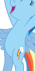 Size: 603x1220 | Tagged: safe, artist:chubble-munch, edit, vector edit, rainbow dash, pegasus, pony, g4, belly, bipedal, cropped, open mouth, pictures of bellies, simple background, smiling, solo, standing up, transparent background, vector