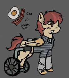 Size: 943x1064 | Tagged: safe, artist:lawldog, pegasus, pony, breaking bad, gray background, ponified, simple background, solo, walter white jr, wheelchair