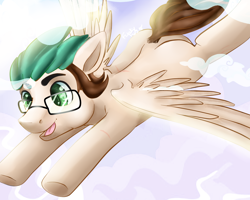 Size: 1280x1024 | Tagged: safe, artist:erieillustrates, oc, oc only, pegasus, pony, 2018, cloud, flying, gift art, glasses, male, open mouth, open smile, pegasus oc, scar, signature, smiling, solo, spread wings, stallion, tail, underhoof, wings