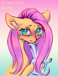 Size: 2140x2792 | Tagged: safe, artist:mammalian_alien, fluttershy, pegasus, pony, g4, bloodshot eyes, bong, crying, drug use, drugs, flutterhigh, gradient background, high, high res, solo, teary eyes