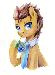 Size: 889x1200 | Tagged: safe, artist:maytee, doctor whooves, time turner, earth pony, pony, g4, berry, colored pencil drawing, food, herbivore, male, mouth hold, necktie, simple background, solo, traditional art, white background