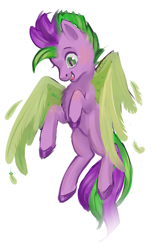 Size: 850x1400 | Tagged: safe, artist:erieillustrates, spike, pegasus, pony, g4, my little pony. poni nimeltä spike, colored hooves, feather, feathered wings, flying, it begins, male, open mouth, open smile, ponified, ponified spike, simple background, sketch, smiling, solo, species swap, spread wings, stallion, tail, white background, wings