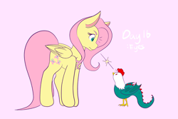 Size: 2048x1365 | Tagged: safe, artist:mscolorsplash, fluttershy, cockatrice, pegasus, pony, g4, emanata, female, frown, looking at each other, looking at someone, mare, pink background, ponytober, simple background, stare, the stare