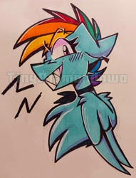 Size: 1090x1430 | Tagged: safe, artist:tinydiamondowo, rainbow dash, pegasus, pony, g4, bust, ears back, female, grin, looking at you, mare, obtrusive watermark, sharp teeth, smiling, smiling at you, solo, teeth, traditional art, watermark