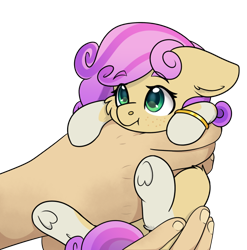 Size: 596x603 | Tagged: safe, artist:rokosmith26, oc, oc:quickdraw, earth pony, pony, coat markings, commissioner:dhs, curly hair, cute, fluffy, freckles, hand, holding a pony, hoof ring, in goliath's palm, looking up, purple hair, simple background, size difference, small pony, smiling, socks (coat markings), transparent background, yellow coat