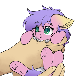 Size: 596x603 | Tagged: safe, artist:rokosmith26, oc, oc:phalena rosa, changeling, pony, commissioner:dhs, curly hair, cute, fluffy, hand, holding a pony, in goliath's palm, looking up, pink coat, purple hair, simple background, size difference, small pony, smiling, transparent background