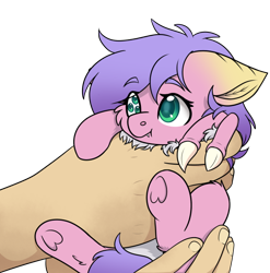 Size: 596x603 | Tagged: safe, artist:rokosmith26, oc, oc:phalena rosa, changeling, pony, claws, commissioner:dhs, curly hair, cute, fluffy, hand, holding a pony, in goliath's palm, looking up, pink coat, purple hair, simple background, size difference, small pony, smiling, strange pupils, transparent background
