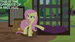 Size: 828x465 | Tagged: safe, edit, edited screencap, editor:quoterific, screencap, fluttershy, fluttershy leans in, g4, cage, pillow, solo