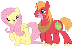 Size: 1364x886 | Tagged: safe, anonymous artist, artist:rulette, big macintosh, fluttershy, earth pony, pegasus, pony, g4, duo, female, male, mare, ship:fluttermac, shipping, simple background, stallion, straight, transparent background