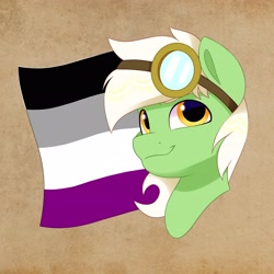 Size: 3508x3508 | Tagged: safe, artist:haruh_ink, oc, oc only, oc:pachu, earth pony, pony, asexual pride flag, bust, commission, earth pony oc, flag, goggles, goggles on head, high res, male, portrait, pride, pride flag, smiling, solo, stallion