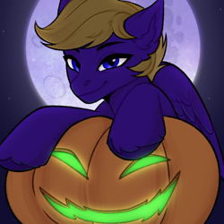 Size: 2048x2048 | Tagged: safe, alternate character, alternate version, artist:enderbee, oc, oc only, oc:wing front, pegasus, pony, blue eyes, commission, halloween, happy, high res, holiday, jack-o-lantern, moon, pegasus oc, pumpkin, smiling, solo, stars, ych result