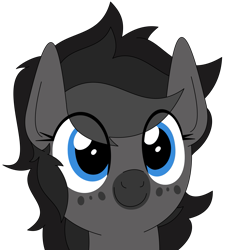 Size: 1283x1423 | Tagged: safe, artist:lonebigcity, oc, oc only, oc:moonlight dusk, bat pony, pony, simple background, smiling, solo, transparent background