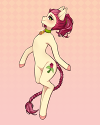Size: 1200x1500 | Tagged: safe, artist:takic, roseluck, pony, g4, alternate hairstyle, braid, braided tail, collar, commission, commissioner:doom9454, cute, pet tag, pony pet, ponytail, rosepet, tail