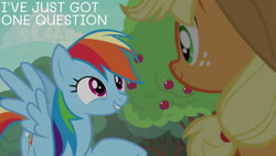 Size: 1280x720 | Tagged: safe, edit, edited screencap, editor:quoterific, screencap, applejack, rainbow dash, buckball season, g4, apple, apple tree, food, tree