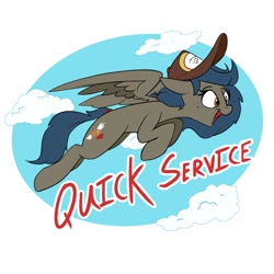 Size: 1000x1000 | Tagged: safe, artist:rocket-lawnchair, oc, oc only, oc:quick service, pegasus, pony, pegasus oc, solo