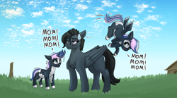 Size: 5000x2787 | Tagged: safe, artist:queen-razlad, oc, oc only, oc:noble six, pegasus, pony, unicorn, annoyed, blue sky, dialogue, female, mother and child, mother and daughter, scenery