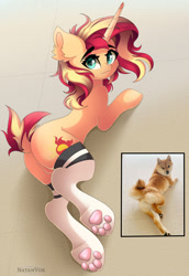 Size: 1280x1858 | Tagged: safe, artist:natanvok, sunset shimmer, dog, pony, g4, bunset shimmer, butt, clothes, featureless crotch, paw socks, plot, ponified animal photo, socks, solo, stockings, thigh highs