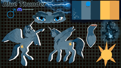 Size: 1280x720 | Tagged: artist needed, source needed, safe, oc, oc:blue thunder, alicorn, pony, alicorn oc, horn, male, reference sheet, solo, wings