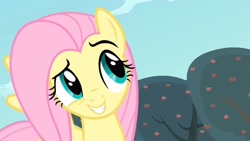 Size: 2560x1440 | Tagged: safe, screencap, fluttershy, pegasus, pony, bats!, g4, season 4, cute, dreamworks face, female, shyabetes, smiling, smugshy, solo