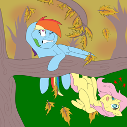 Size: 2000x2000 | Tagged: safe, artist:bennimarru, fluttershy, rainbow dash, pegasus, pony, g4, high res, leaves, one eye closed, starry eyes, tongue out, tree, tree branch, wingding eyes