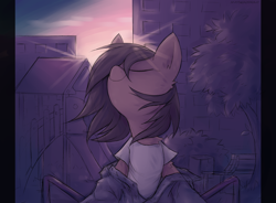 Size: 4072x3000 | Tagged: safe, artist:anotherdeadrat, oc, oc only, pony, clothes, crepuscular rays, eyes closed, high res, outdoors, shirt, solo, sunset