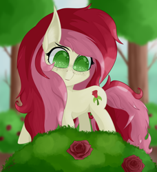 Size: 3040x3340 | Tagged: safe, artist:krymak, roseluck, earth pony, pony, g4, ear fluff, flower, freckles, high res, rose, two toned mane