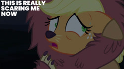 Size: 828x465 | Tagged: safe, edit, edited screencap, editor:quoterific, screencap, applejack, g4, scare master, season 5, solo