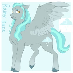 Size: 1730x1716 | Tagged: safe, artist:abbytabbys, oc, oc only, oc:rainy daze, pegasus, pony, coat markings, colored wings, colored wingtips, cute, cute little fangs, facial markings, fangs, male, pegasus oc, reference sheet, sideburns, solo, stallion, star (coat marking), unshorn fetlocks, wings