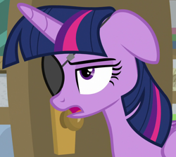 Size: 1054x945 | Tagged: safe, screencap, twilight sparkle, alicorn, pony, friendship university, g4, season 8, cropped, disguise, eyepatch, eyepatch (disguise), female, floppy ears, frown, mare, solid sparkle, solo, twilight sparkle (alicorn)