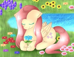Size: 1080x830 | Tagged: safe, artist:bernicedoodles, fluttershy, pegasus, pony, g4, cute, eyes closed, flower, grass, grass field, lake, shyabetes, solo, water