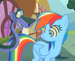 Size: 1280x1041 | Tagged: safe, artist:marybethemberjoy49-1, edit, edited screencap, screencap, rainbow dash, pegasus, pony, snake, g4, female, hypno dash, hypno eyes, hypnosis, hypnotized, kaa, kaa eyes, low effort, male, mare, ponyville